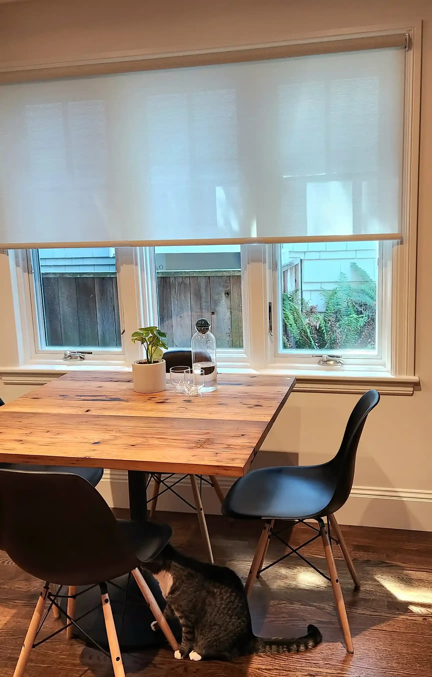 Premium shades installed for a modern home